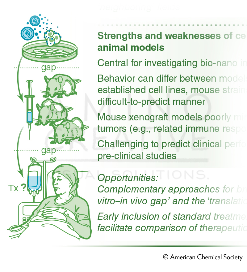 Bridging Bio-nano Science and Cancer Medicine (detail)