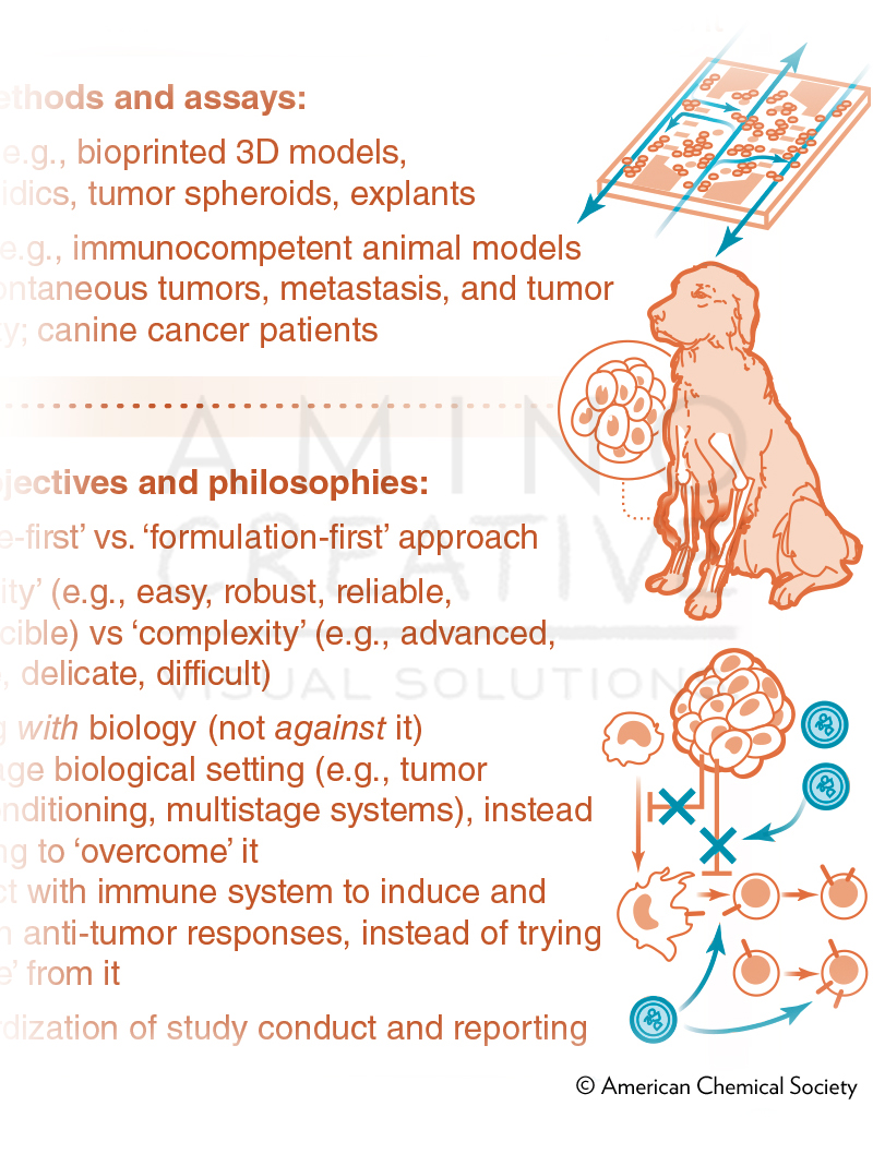 Bridging Bio-nano Science and Cancer Medicine (detail)