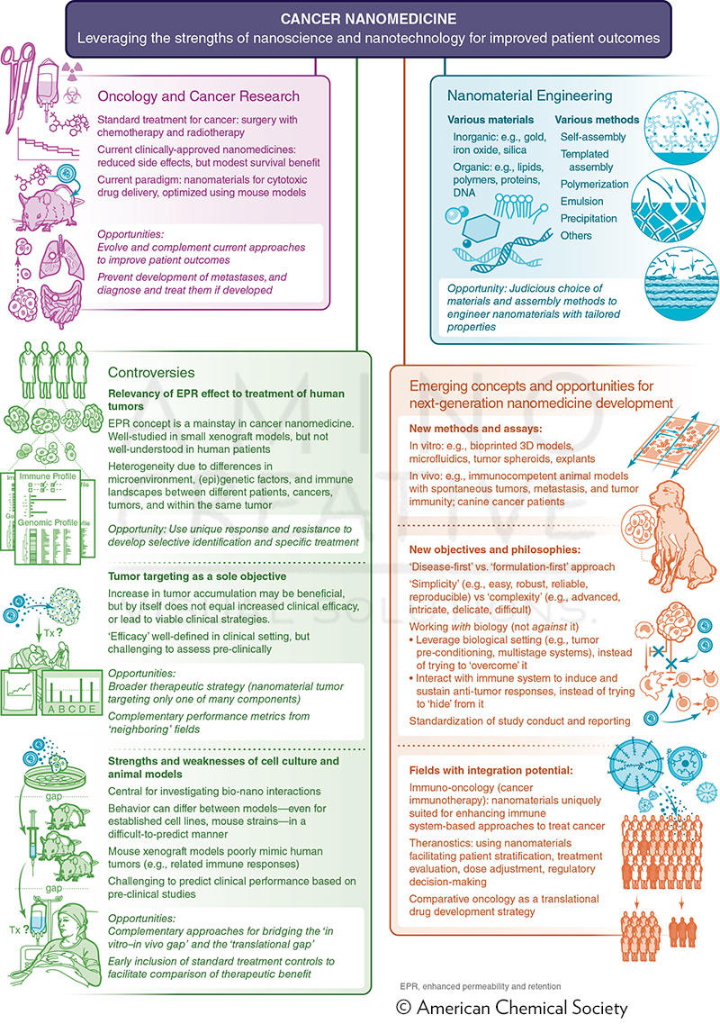 Bridging Bio-nano Science and Cancer Medicine